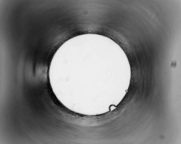 X0000103900024200810101255