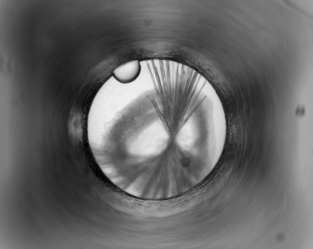 X0000103900026200810101255