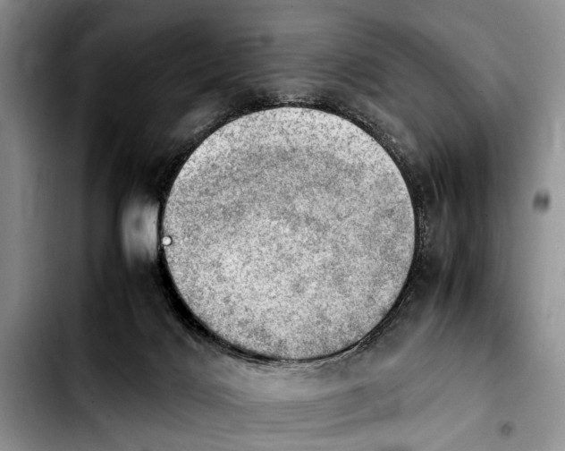 X0000103900028200810101255