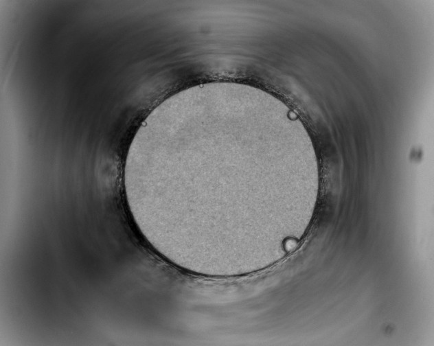 X0000103900029200810101255