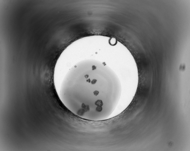 X0000103900031200810101255