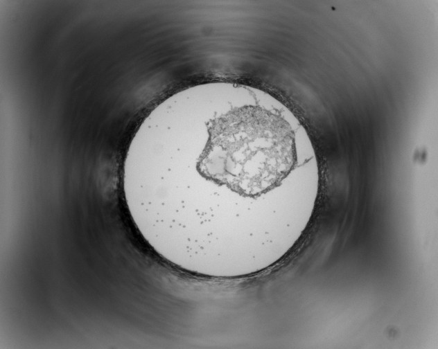 X0000103900032200810101255