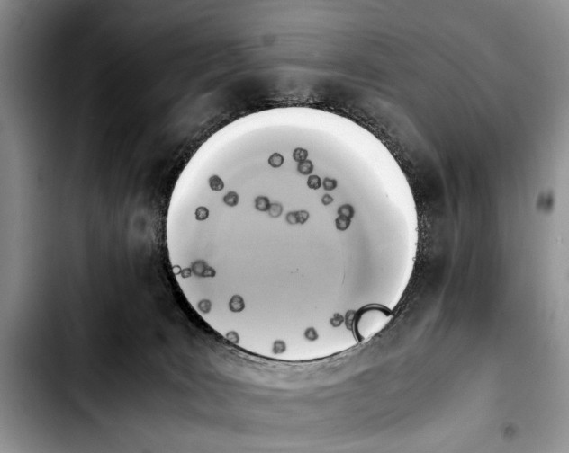 X0000103900035200810101255