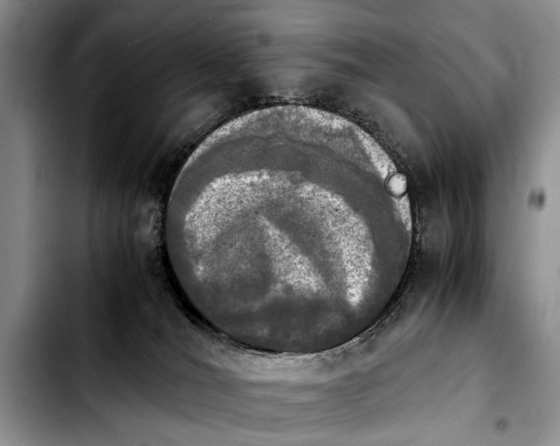 X0000103900036200810101255