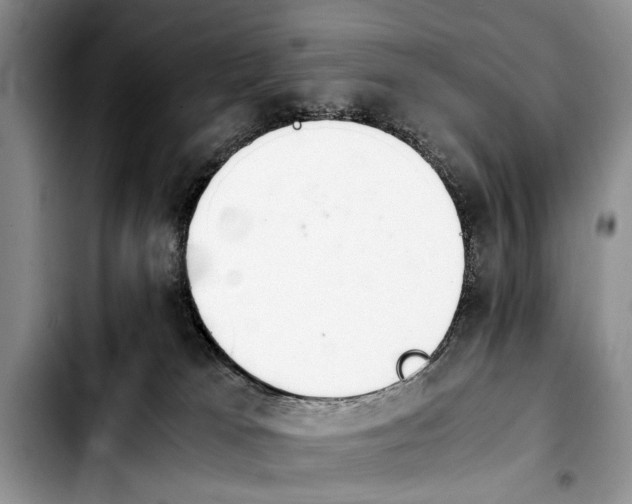 X0000103900037200810101255