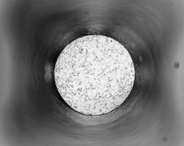 X0000103900038200810101255