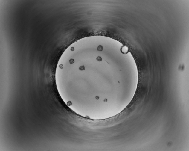 X0000103900039200810101255