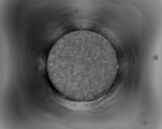 X0000103900040200810101255