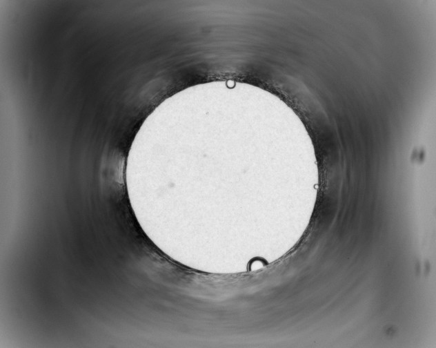 X0000103900041200810101255