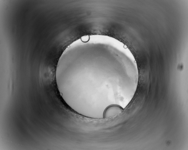 X0000103900043200810101255