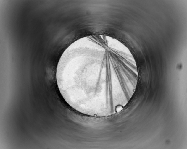 X0000103900044200810101255