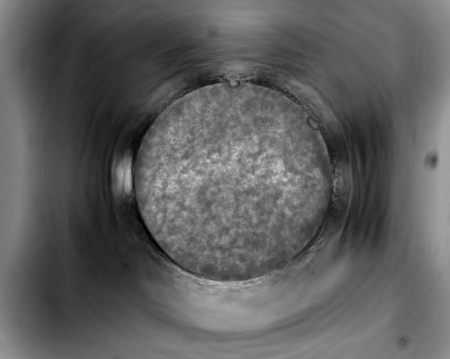 X0000103900046200810101255