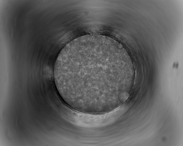 X0000103900048200810101255