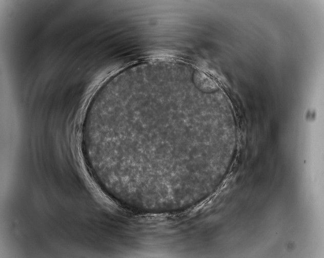 X0000103900049200810101254