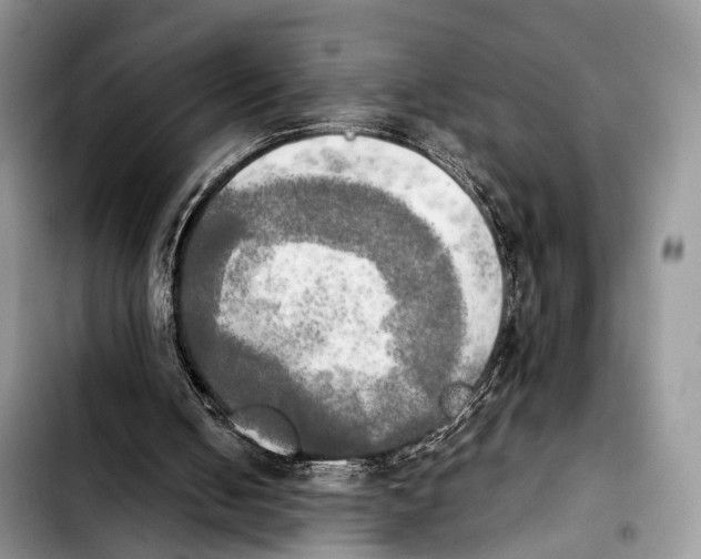 X0000103900050200810101254