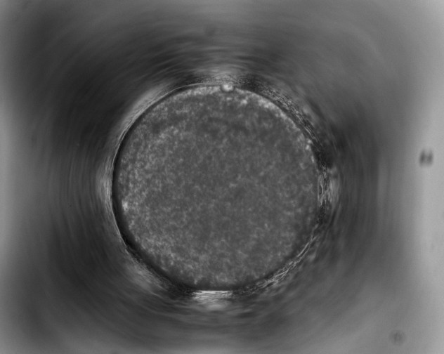 X0000103900051200810101254