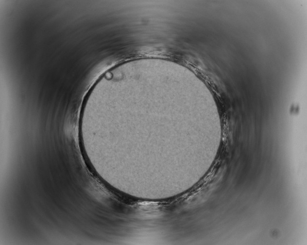 X0000103900052200810101254