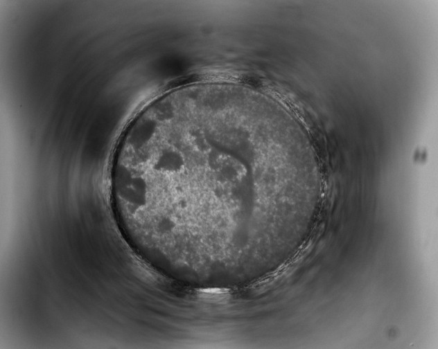 X0000103900053200810101254