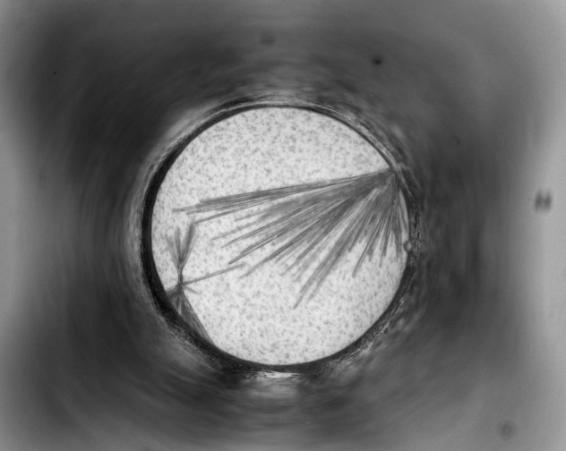 X0000103900055200810101254