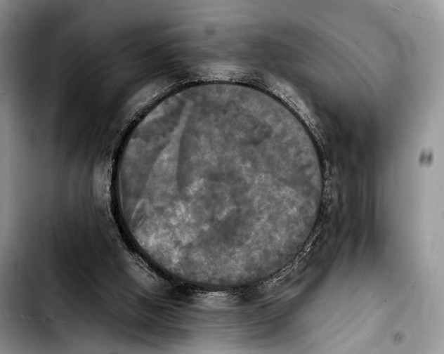 X0000103900058200810101254