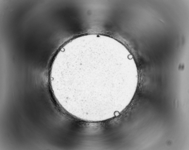 X0000103900060200810101254