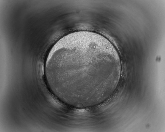 X0000103900061200810101254