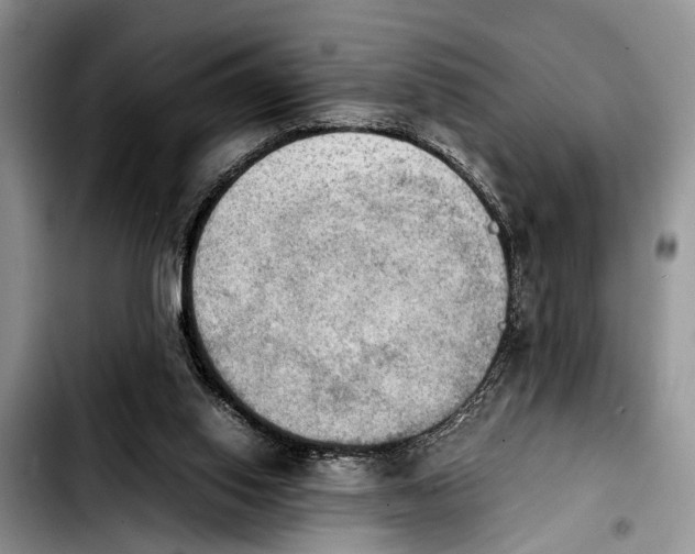 X0000103900062200810101254