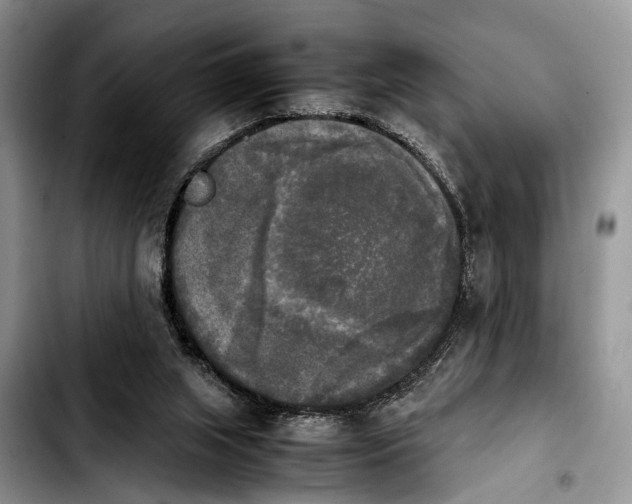 X0000103900063200810101254