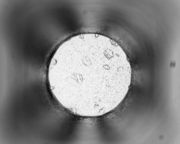 X0000103900064200810101254