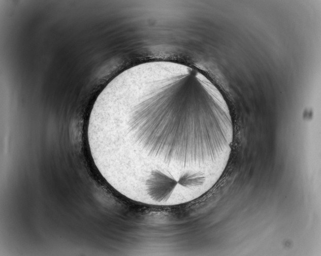 X0000103900066200810101255