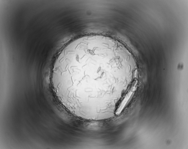 X0000103900068200810101255