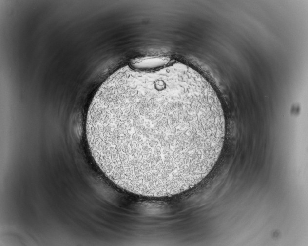 X0000103900069200810101255