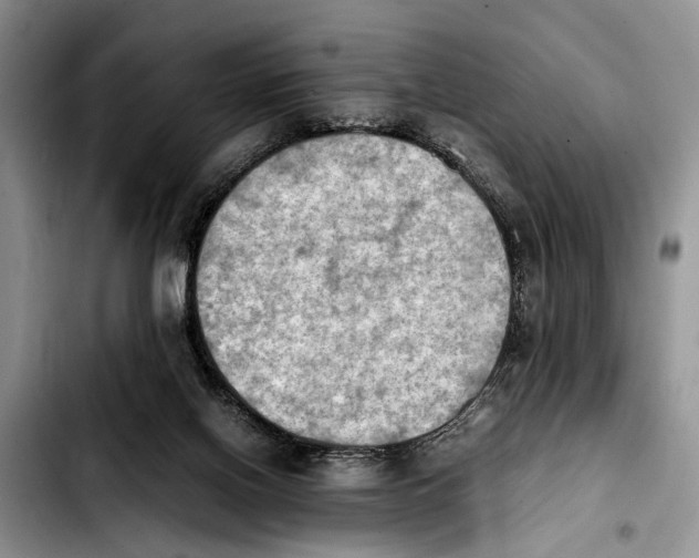 X0000103900070200810101255