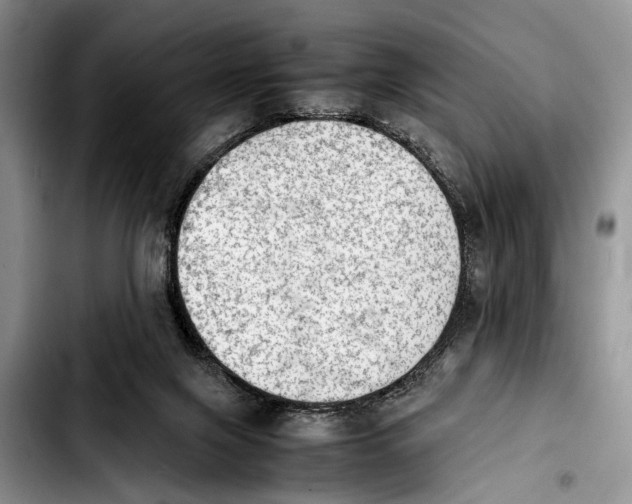 X0000103900071200810101255