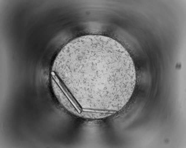 X0000103900072200810101255