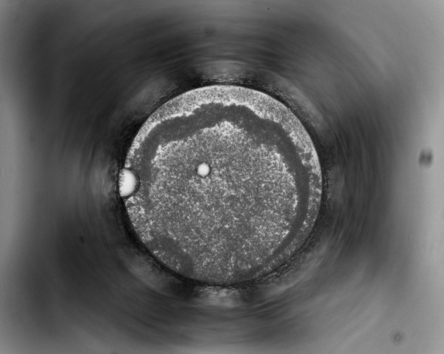 X0000103900073200810101255