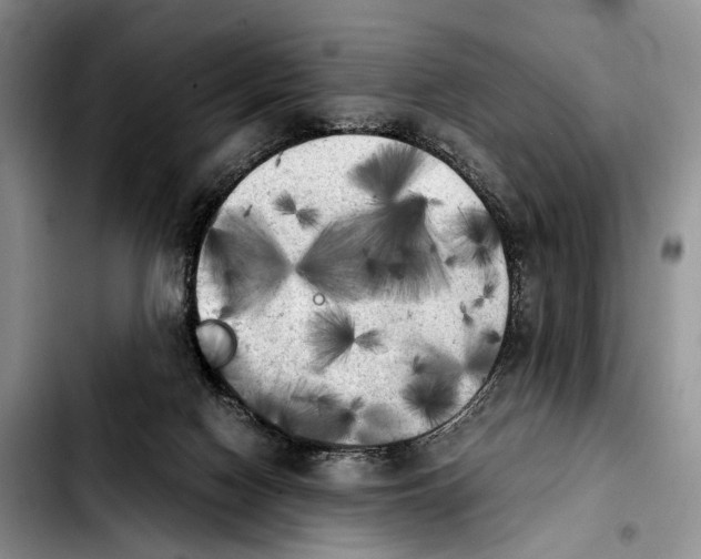 X0000103900074200810101255