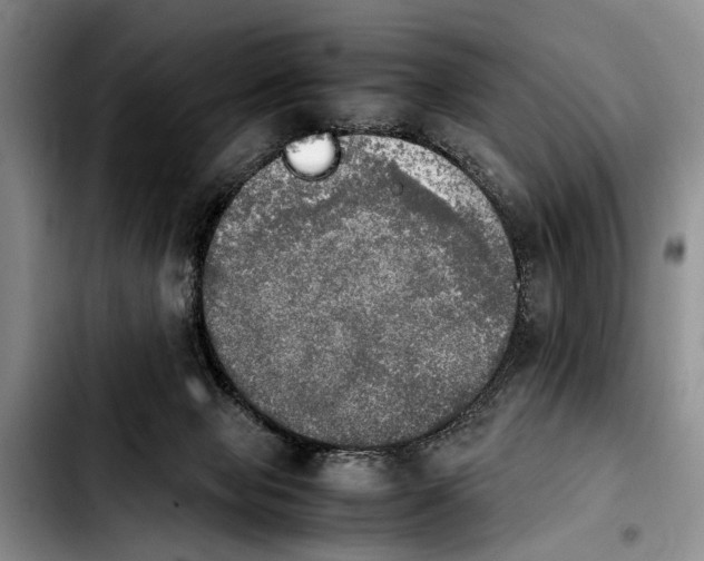 X0000103900077200810101255