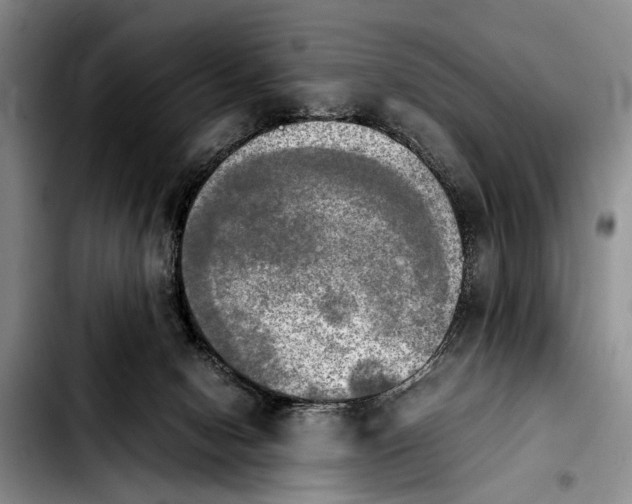 X0000103900078200810101255