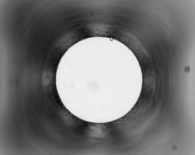 X0000103900079200810101255