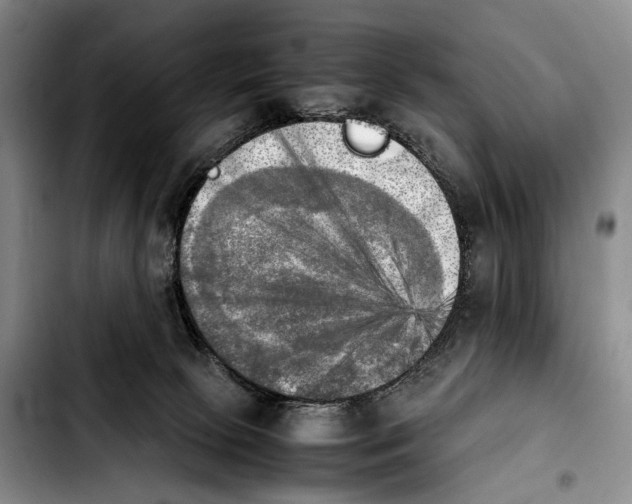 X0000103900081200810101255