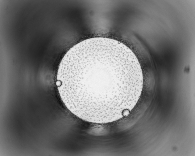 X0000103900083200810101255