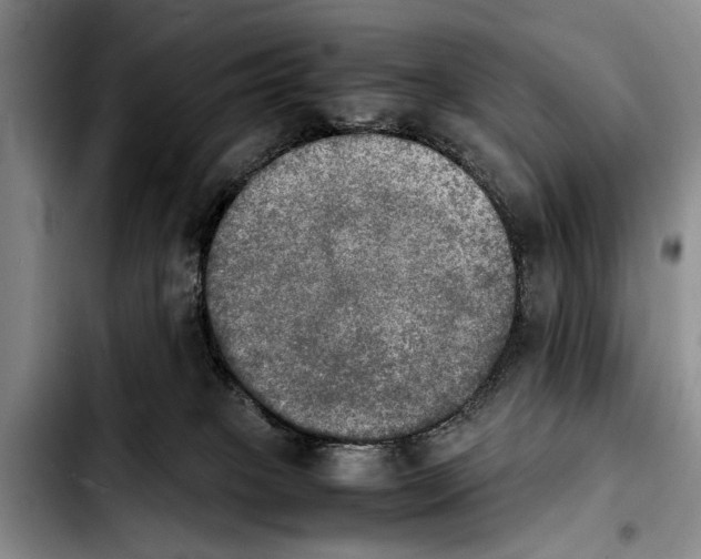 X0000103900085200810101255