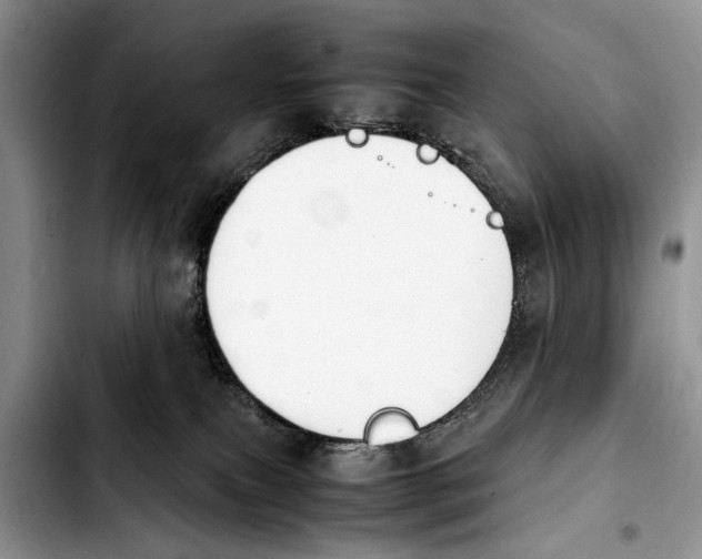 X0000103900087200810101255