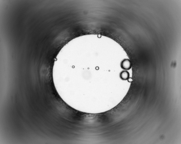 X0000103900088200810101255