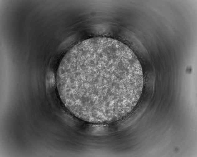 X0000103900089200810101255