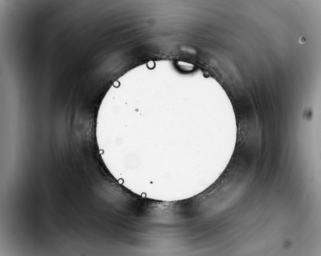 X0000103900092200810101255