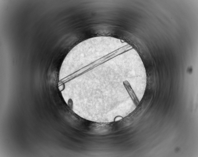 X0000103900093200810101255