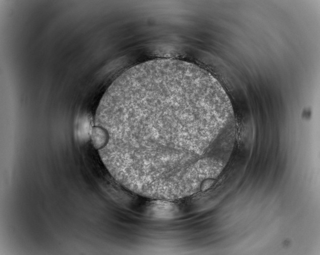 X0000103900095200810101255