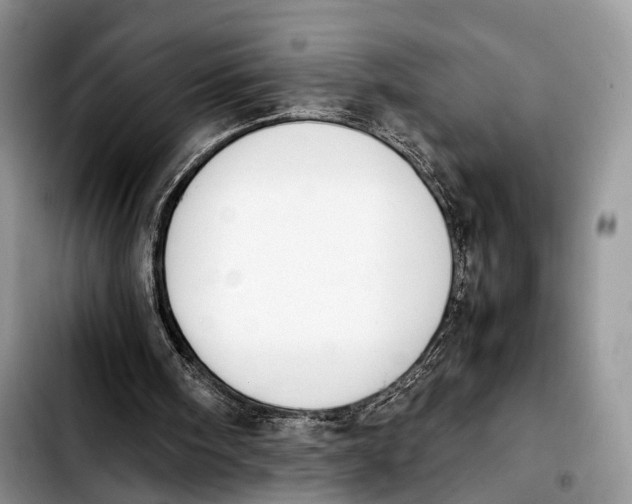 X0000103900098200810101254